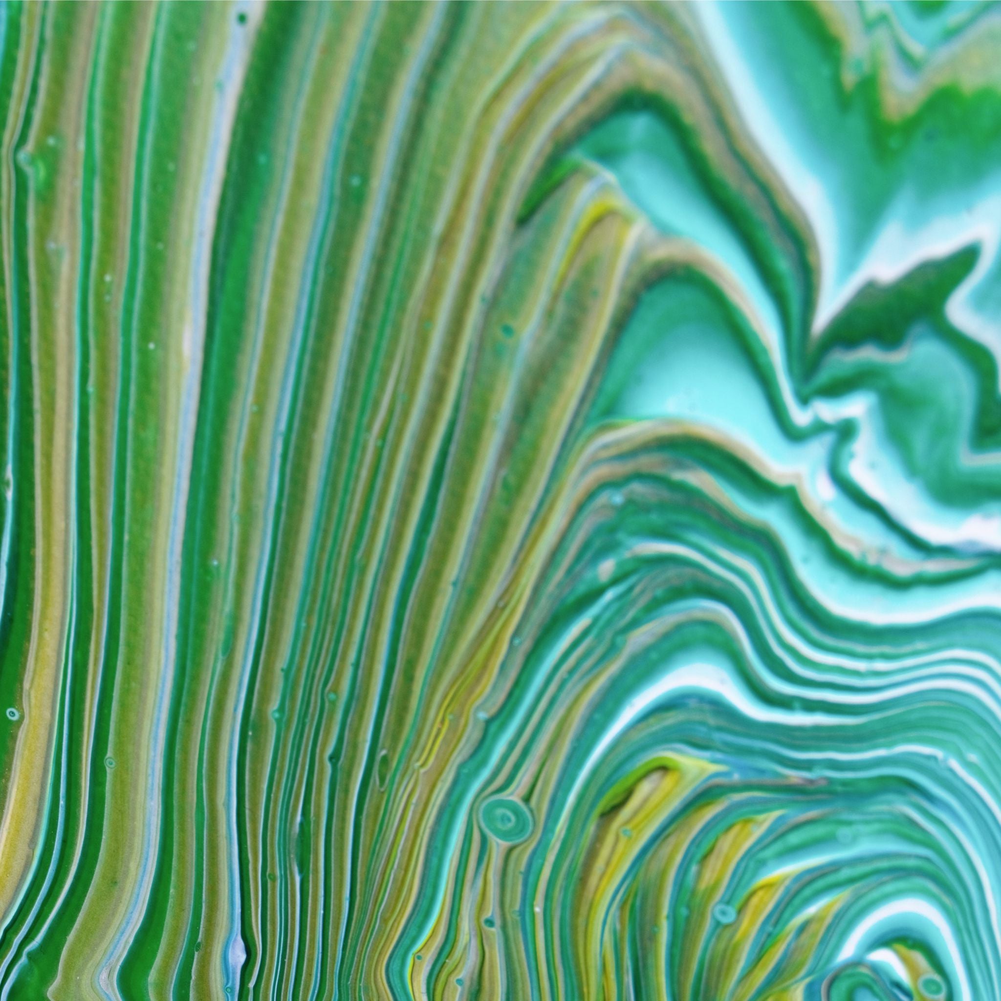 Double Swirl 5 - Orange Bud - Gemälde (25x30cm/10x12'', , ) - GruemArt