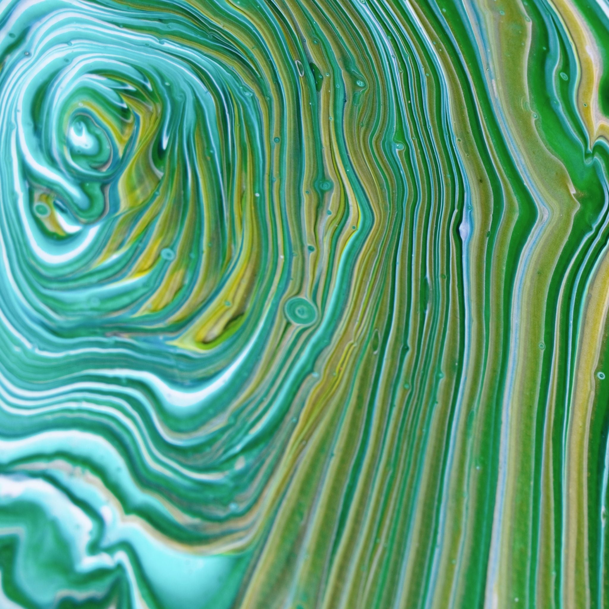 Double Swirl 5 - Orange Bud - Gemälde (25x30cm/10x12'', , ) - GruemArt